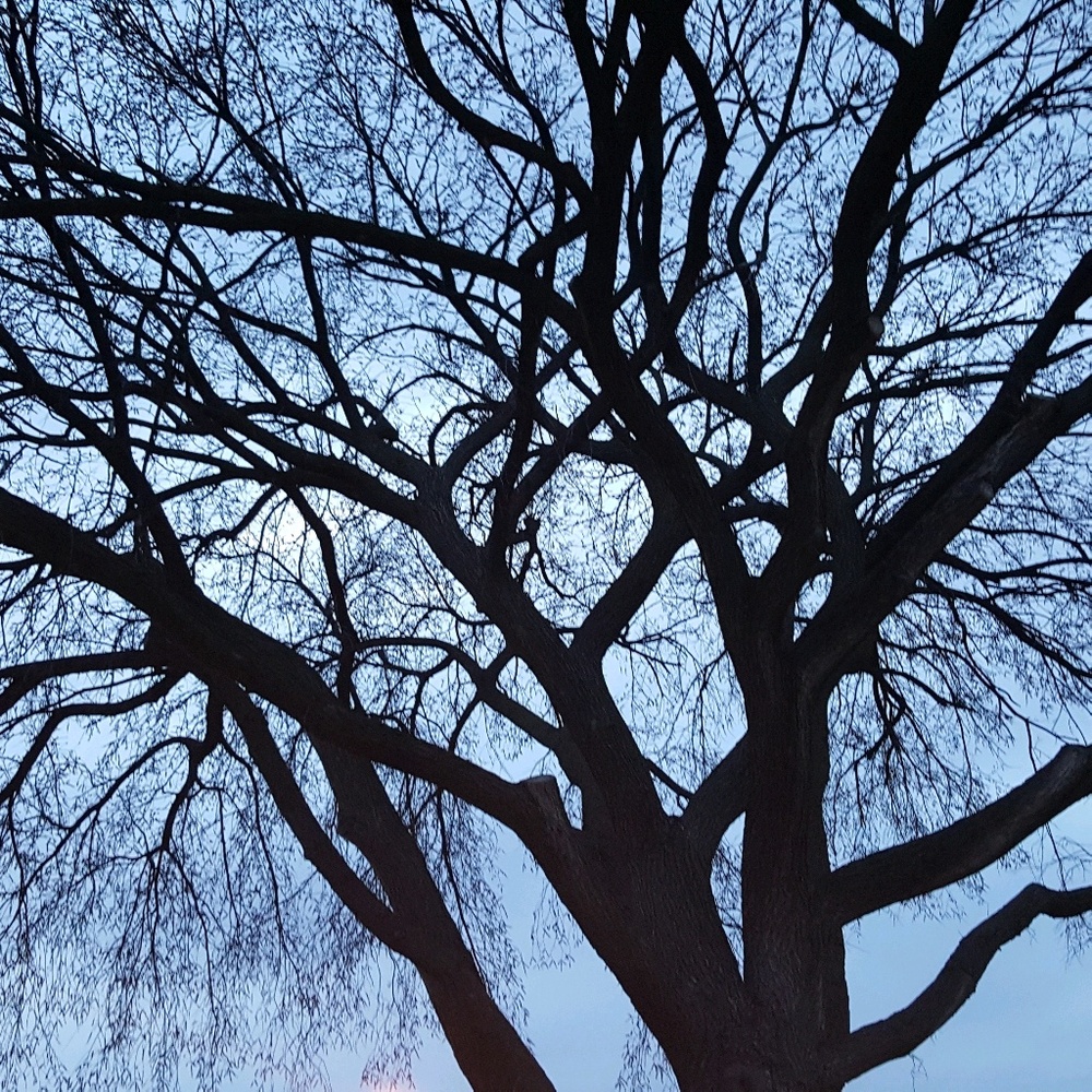 Meet your Posher, Carol